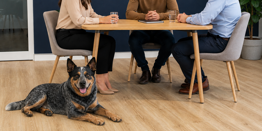 Bluey lying beside the meeting table while clients talk with their mortgage broker